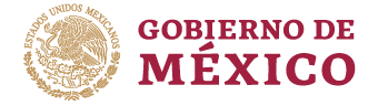 logo-gob-mx